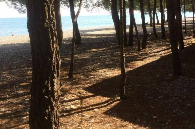 Изображение Изображение гостиницы &quot;Гостевой дом «Одиссей»&quot; #10 #8