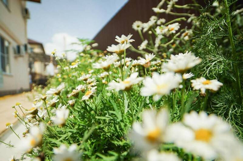 Изображение Изображение гостиницы &quot;Гостевой дом «Энергия Жизни»&quot; #4 #2