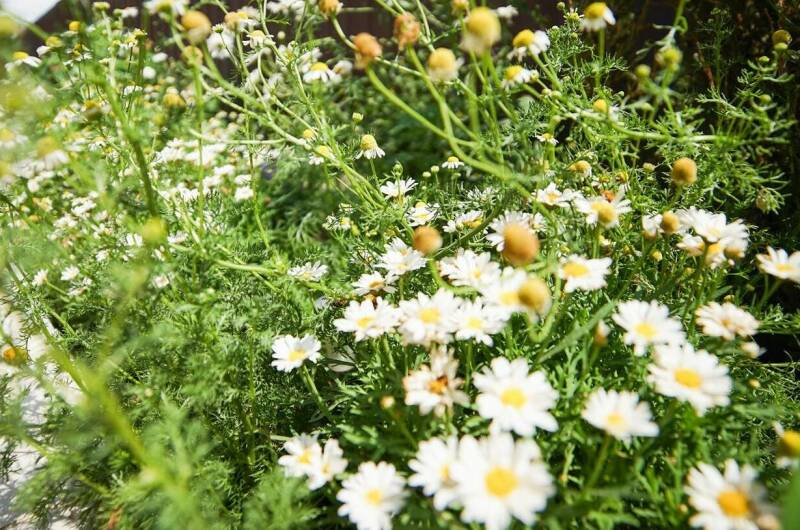 Изображение Изображение гостиницы &quot;Гостевой дом «Энергия Жизни»&quot; #9 #7