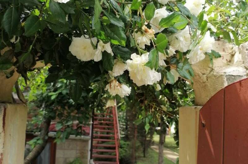 Изображение гостиницы "Гостевой дом «Прованс»" #1