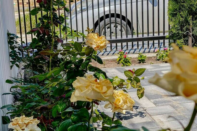 Изображение Изображение гостиницы &quot;Отель «Димитрион»&quot; #6 #4