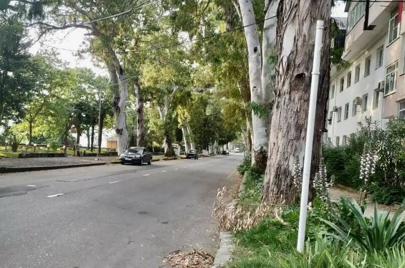 Изображение квартиры "Квартира у моря" #1