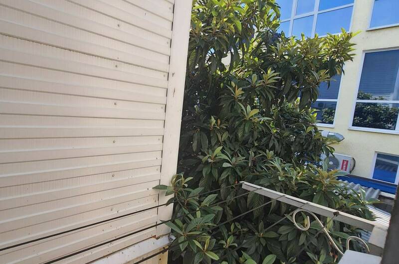 Изображение Изображение квартиры &quot;Уютный номер у моря&quot; #9 #7