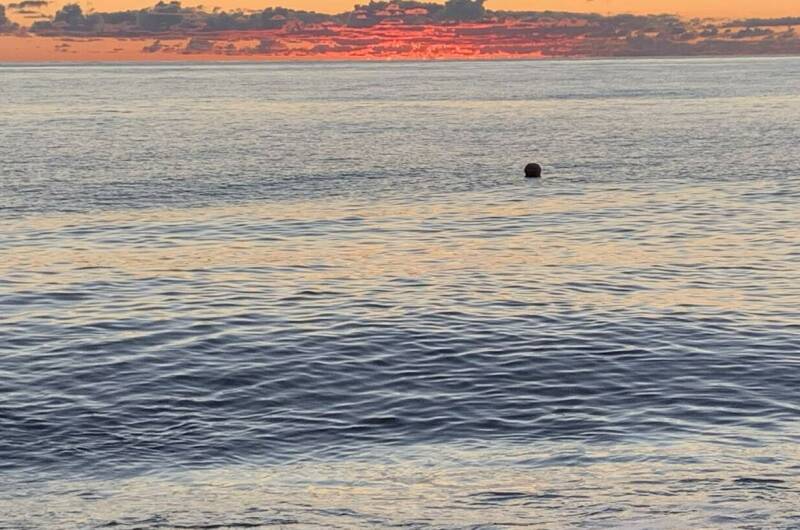 Изображение Изображение гостиницы &quot;Гостевой дом «Леон»&quot; #5 #3