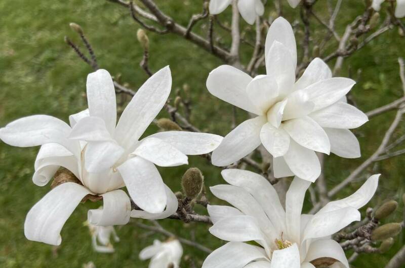 Изображение Изображение гостиницы &quot;Гостевой дом «Геленджикский дворик»&quot; #3 #1