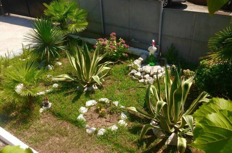 Изображение Изображение гостиницы &quot;Гостевой дом «Татьяна»&quot; #6 #4