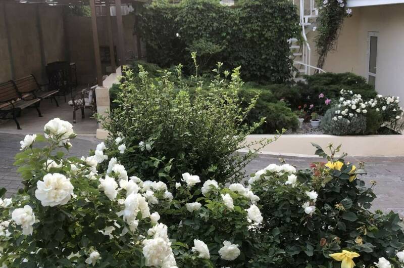 Изображение Изображение гостиницы &quot;Гостевой дом на ул. 9 мая&quot; #11 #9