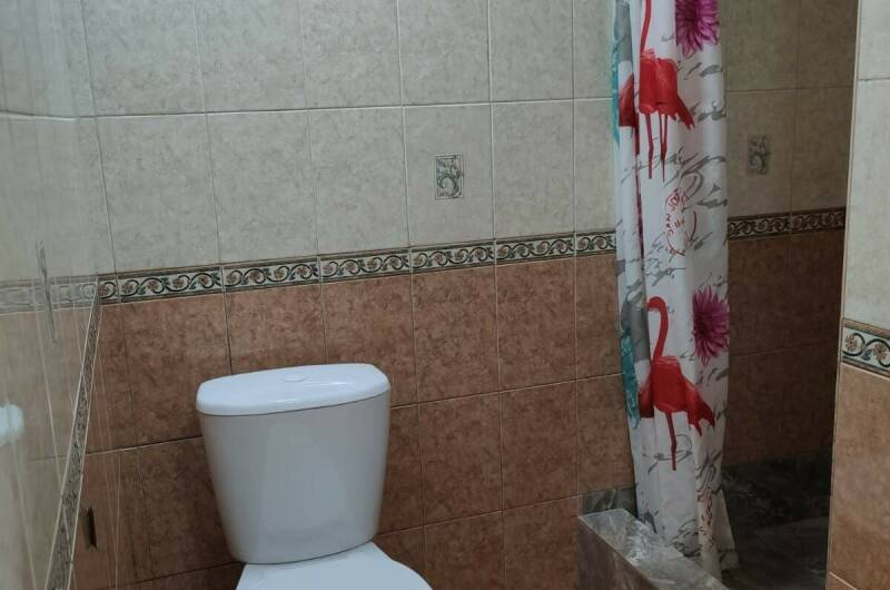 Изображение Изображение гостиницы &quot;Гостевой дом «У бабы Светы»&quot; #9 #7