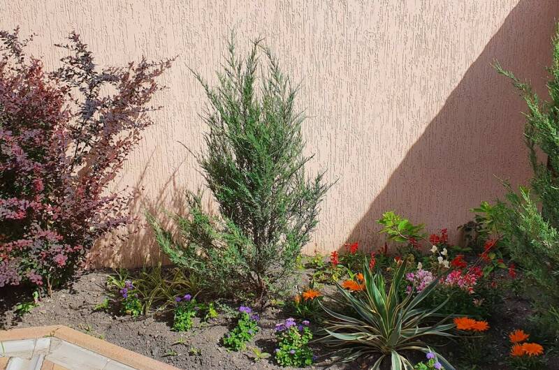 Изображение Изображение гостиницы &quot;Отель «ТриО»&quot; #8 #6