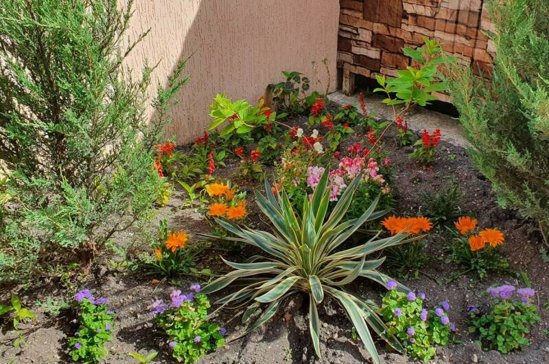 Изображение Изображение гостиницы &quot;Отель «ТриО»&quot; #9 #7