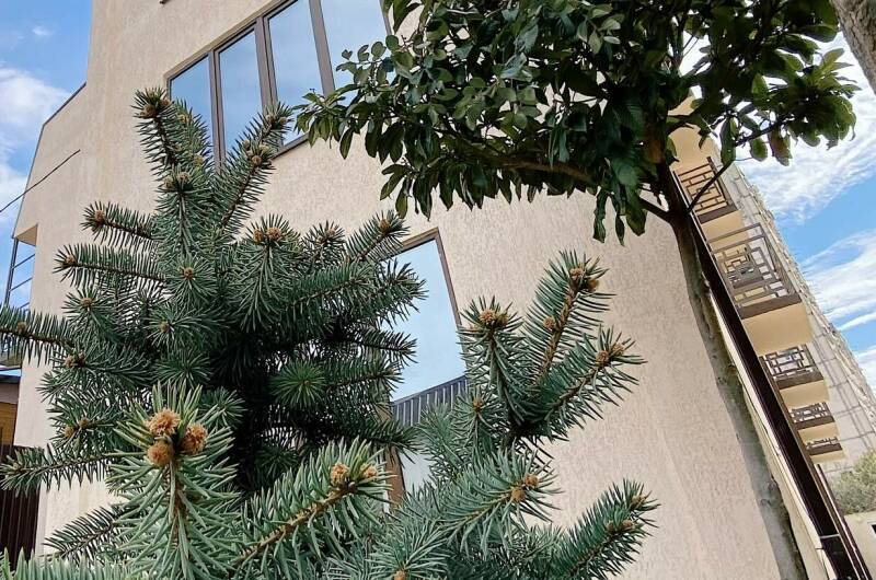 Изображение гостиницы "Отель «A-more»" #1