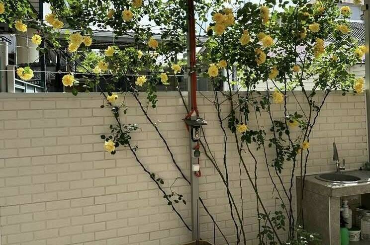 Изображение Изображение гостиницы &quot;Гостевой дом «Мир»&quot; #11 #9