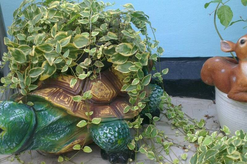 Изображение Изображение гостиницы &quot;Гостевой дом «У Борисовны»&quot; #3 #1