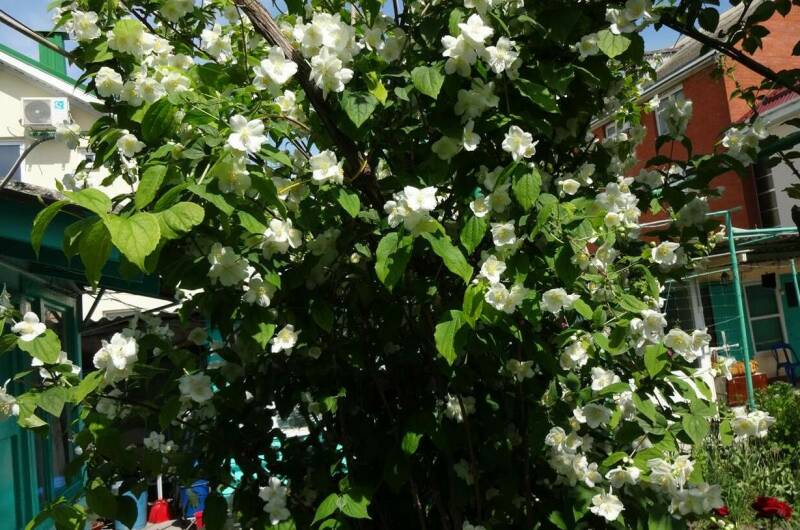 Изображение Изображение гостиницы &quot;Гостевой дом «У Борисовны»&quot; #6 #4