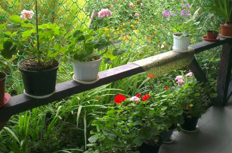 Изображение Изображение гостиницы &quot;Гостевой дом «У Борисовны»&quot; #9 #7