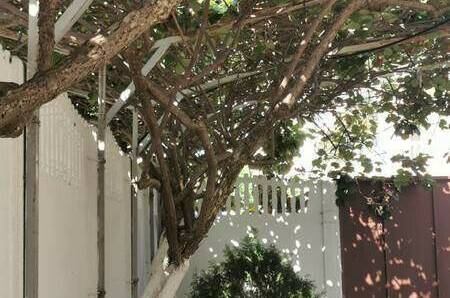 Изображение Изображение гостиницы &quot;Гостевой дом «Киви»&quot; #8 #6