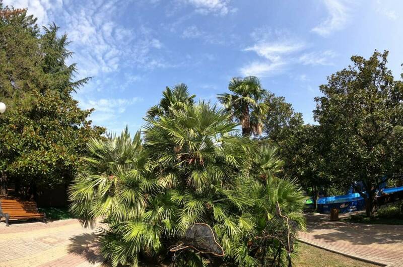 Изображение Изображение гостиницы &quot;Гостевой дом «Эдем»&quot; #5 #3