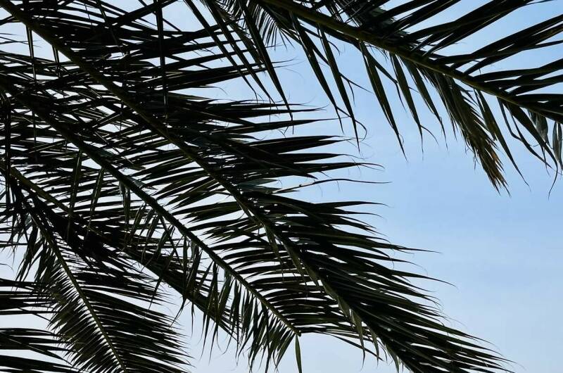 Изображение Изображение квартиры &quot;Апартаменты у моря в «ЖК Посейдон»&quot; #6 #4