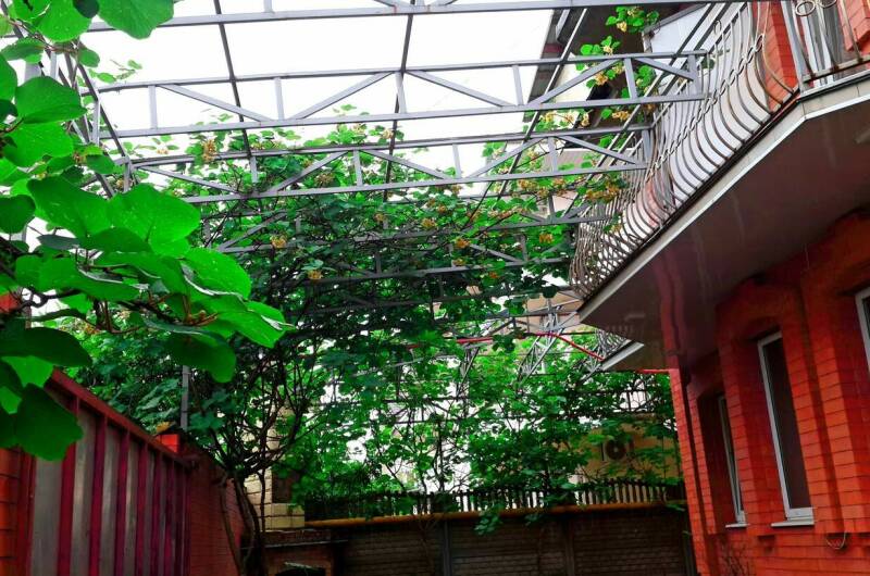 Изображение Изображение гостиницы &quot;Гостевой дом «Аметист»&quot; #6 #4