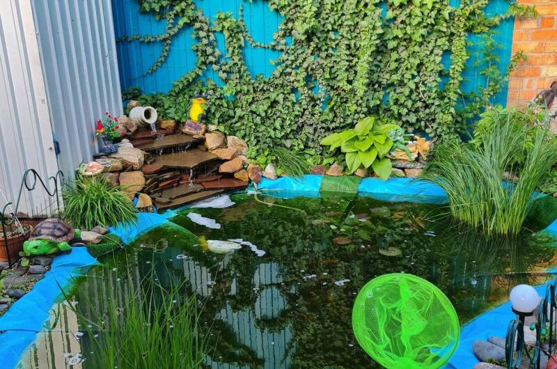 Изображение Изображение гостиницы &quot;Гостевой дом «У Натальи»&quot; #7 #5