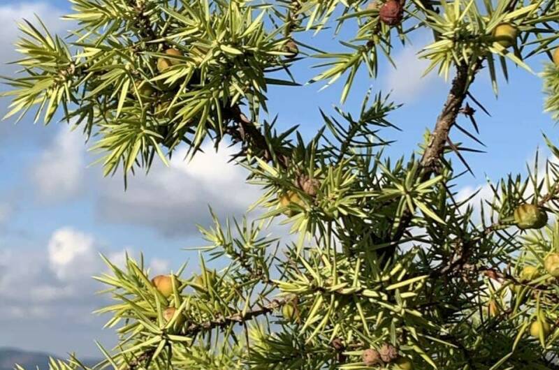 Изображение Изображение гостиницы &quot;Гостевой дом «Краски Черного моря»&quot; #6 #4