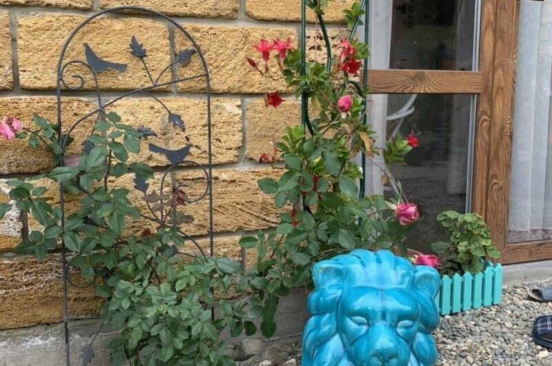 Изображение Изображение гостиницы &quot;Гостевой дом «Краски Черного моря»&quot; #9 #7