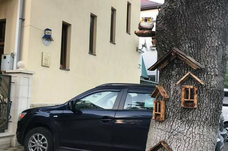 Изображение Изображение гостиницы &quot;Гостевой дом «Золотой Пегас»&quot; #6 #4