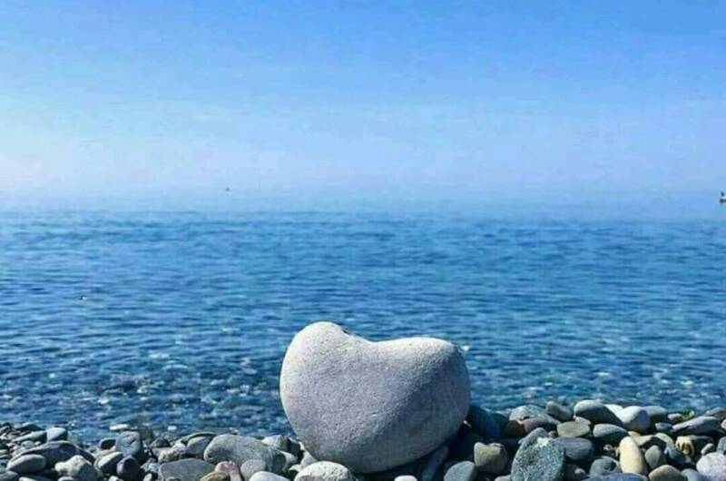 Изображение квартиры "Двухкомнатная квартира" #1