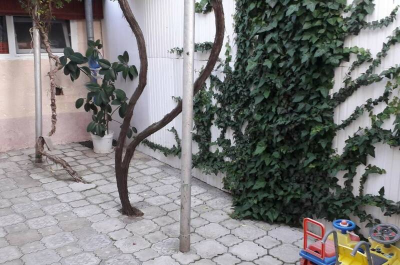 Изображение Изображение гостиницы &quot;Частный сектор «РодМар»&quot; #4 #2