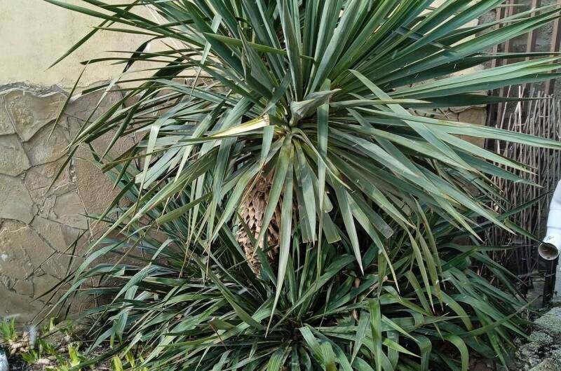 Изображение Изображение гостиницы &quot;Домик «У Аниты»&quot; #7 #5