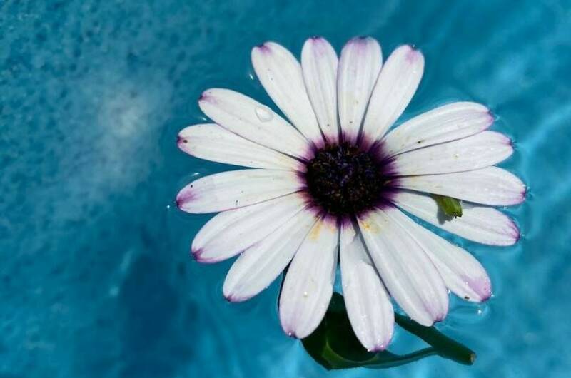 Изображение Изображение гостиницы &quot;Отель «Белая Берёзка»&quot; #4 #2