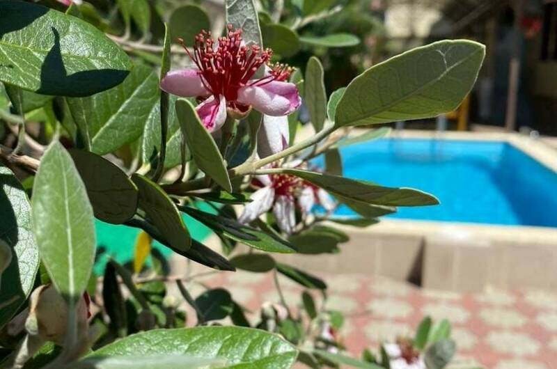 Изображение Изображение гостиницы &quot;Отель «Белая Берёзка»&quot; #8 #6