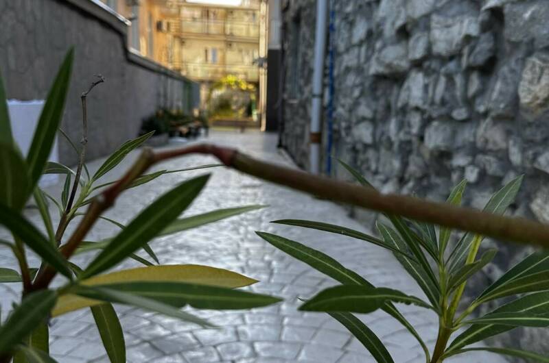 Изображение Изображение гостиницы &quot;Гостевой дом «La villa»&quot; #5 #3