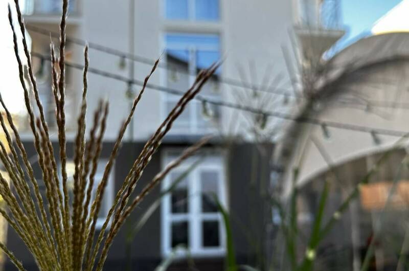 Изображение Изображение гостиницы &quot;Гостевой дом «La villa»&quot; #9 #7