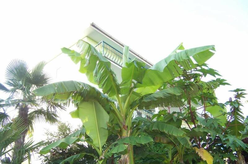 Изображение Изображение гостиницы &quot;Гостевой дом «Анастасия»&quot; #6 #4