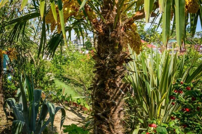 Изображение Изображение гостиницы &quot;Гостевой дом «Анастасия»&quot; #8 #6