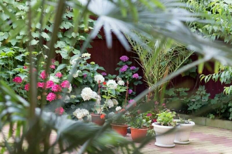 Изображение Изображение гостиницы &quot;Гостевой дом «Старт»&quot; #6 #4