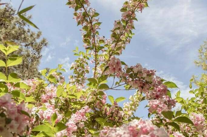 Изображение Изображение гостиницы &quot;Гостевой дом «Солнечный»&quot; #9 #7