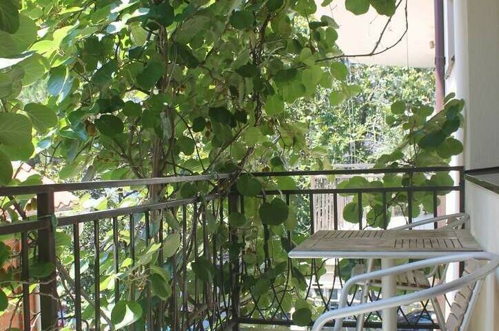 Изображение Изображение гостиницы &quot;Гостиница «Европа»&quot; #4 #2