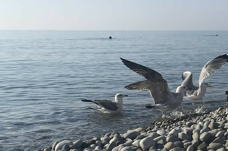 Изображение Изображение гостиницы &quot;Гостиница «Европа»&quot; #8 #6