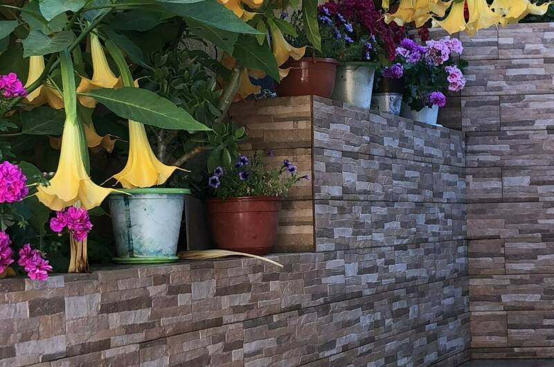 Изображение Изображение гостиницы &quot;Гостевой дом «Виктория плюс»&quot; #3 #1