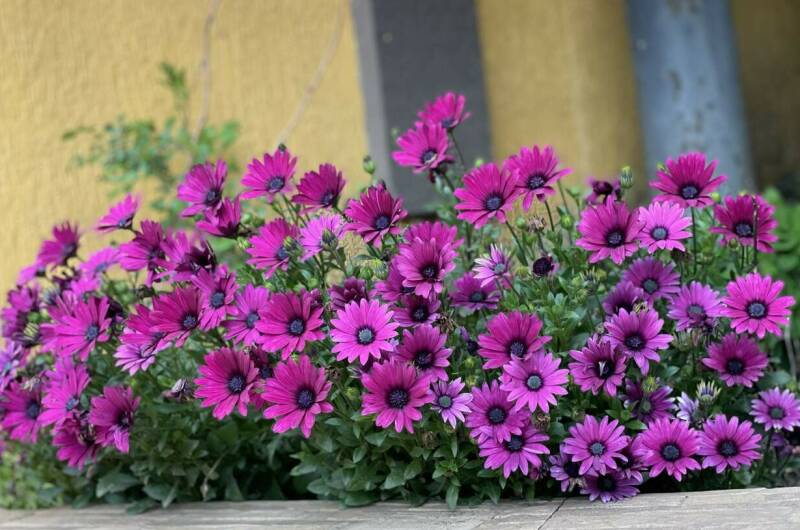 Изображение Изображение гостиницы &quot;Гостевой дом «Виктория плюс»&quot; #11 #9