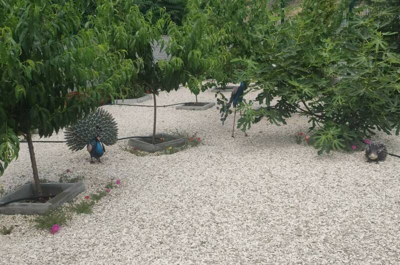 Изображение Изображение гостиницы &quot;Апарт-отель «Баловень судьбы»&quot; #6 #4