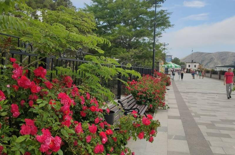 Изображение Изображение гостиницы &quot;Апарт-отель «Баловень судьбы»&quot; #11 #9