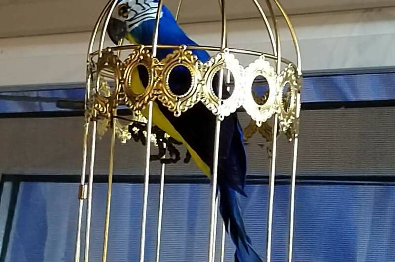 Изображение Изображение гостиницы &quot;Гостевой дом «Комильфо»&quot; #7 #5