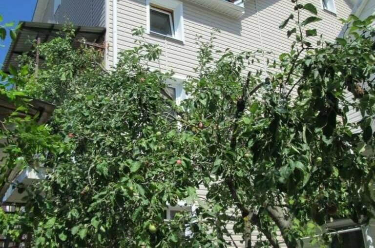 Изображение Изображение гостиницы &quot;Гостевой дом «Золотой берег»&quot; #11 #9