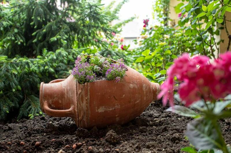 Изображение Изображение гостиницы &quot;Гостевой дом «ВиллаРоза»&quot; #8 #6