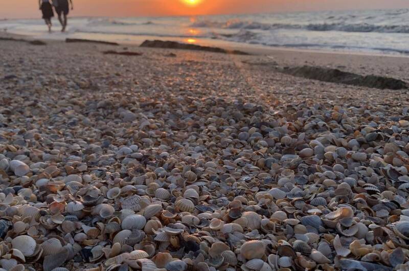 Изображение Изображение гостиницы &quot;Гостевой дом «Алана»&quot; #5 #3