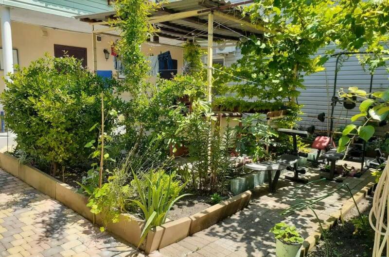 Изображение гостиницы "Гостевой дом «Стебель бамбука»" #1