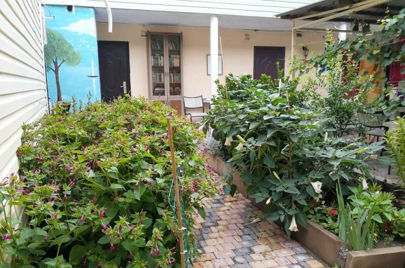 Изображение Изображение гостиницы &quot;Гостевой дом «Стебель бамбука»&quot; #7 #5